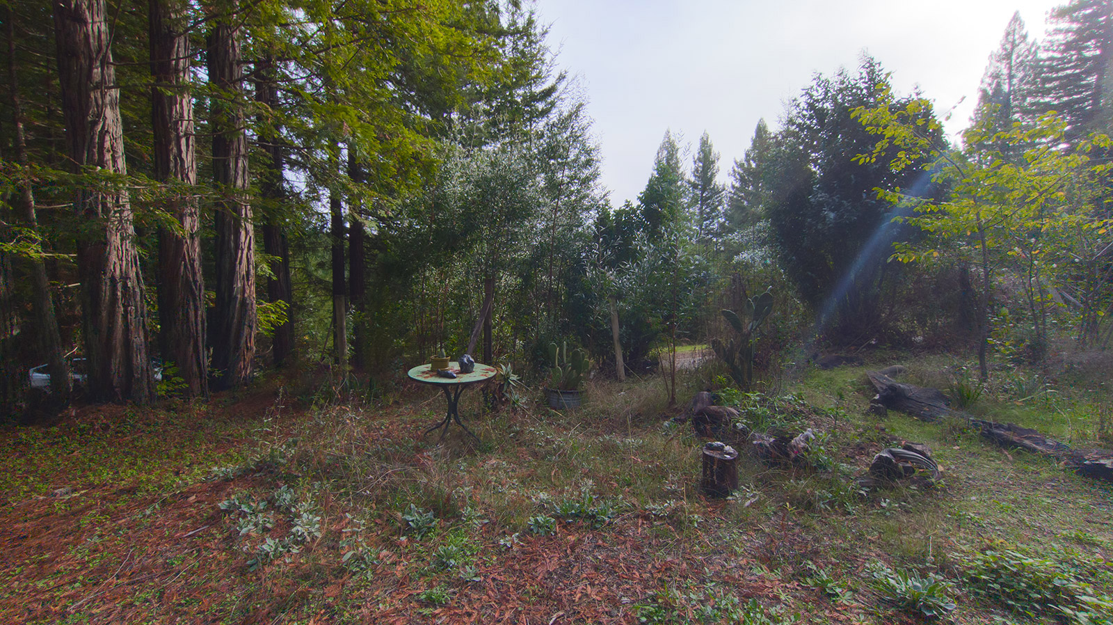 Mendocino Property Best Real Estate Services