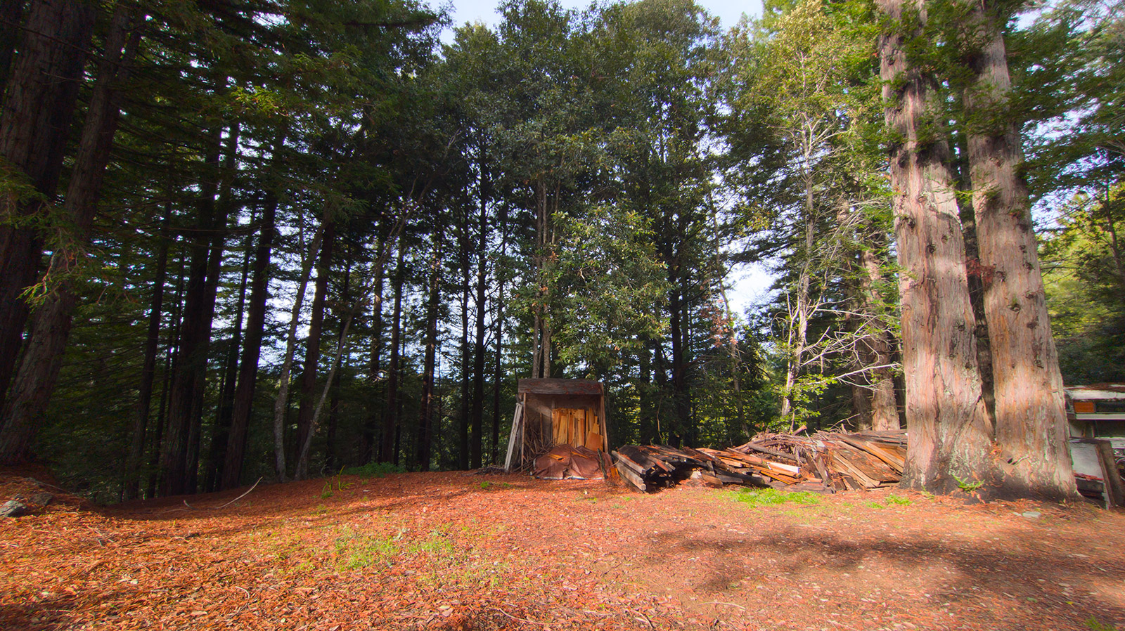 Mendocino Property Best Real Estate Services