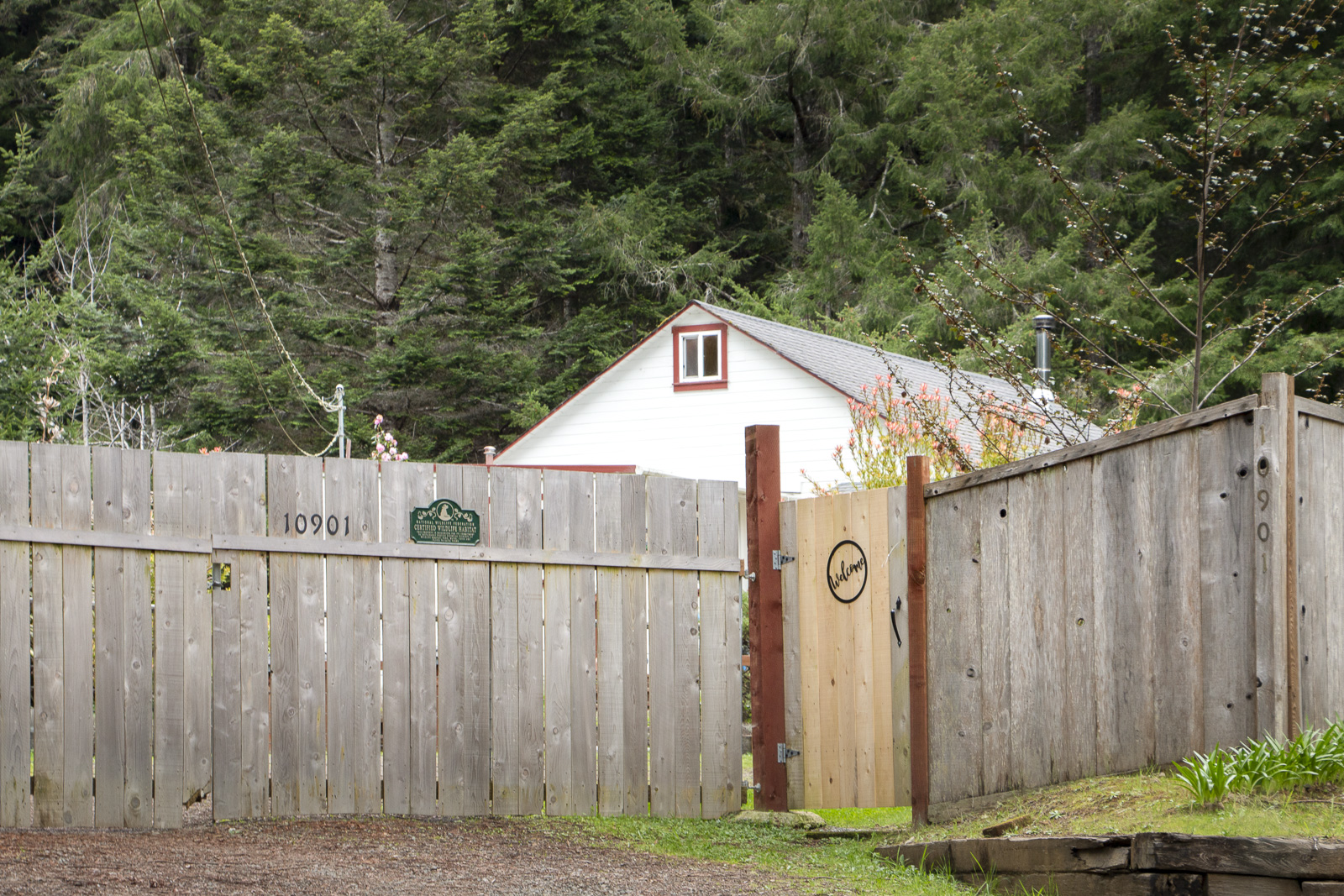 Best Real Estate Services